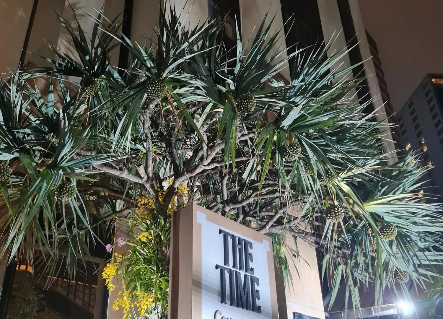 The Time Flat - Berrini - 200 Metros Do Wtc Hotel Sao Paulo